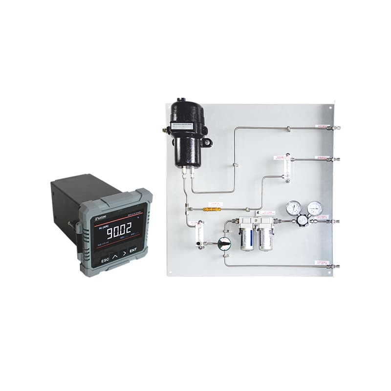 RS301ON Online Hydrogen Purity Analyzer