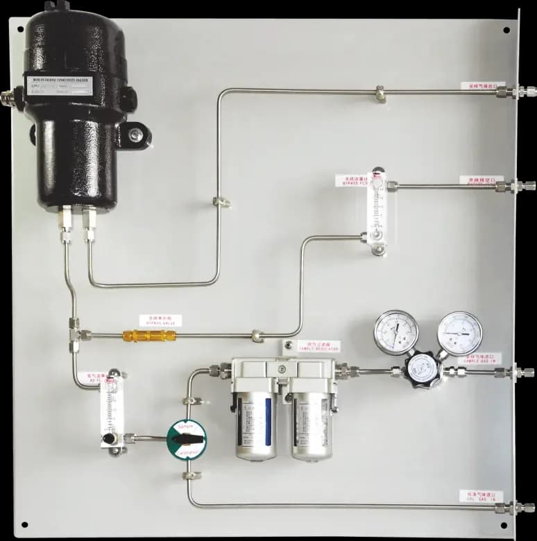 RS301ON Online Hydrogen Purity Analyzer